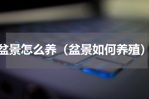 盆景怎么养（盆景如何养殖）