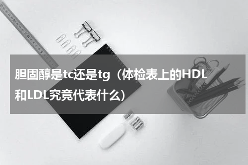 胆固醇是tc还是tg（体检表上的HDL和LDL究竟代表什么）