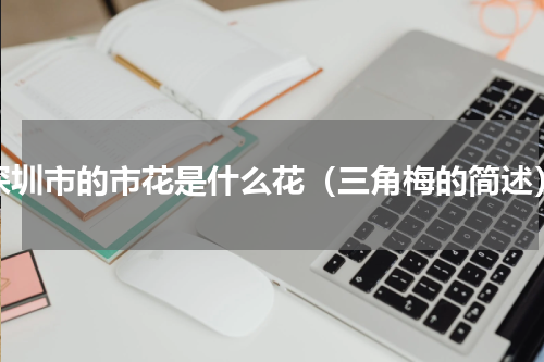 深圳市的市花是什么花（三角梅的简述）