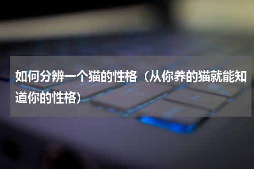 如何分辨一个猫的性格（从你养的猫就能知道你的性格）