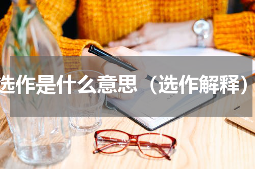 选作是什么意思（选作解释）
