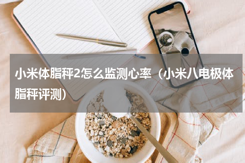 小米体脂秤2怎么监测心率（小米八电极体脂秤评测）