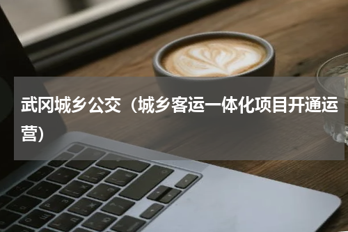 武冈城乡公交（城乡客运一体化项目开通运营）