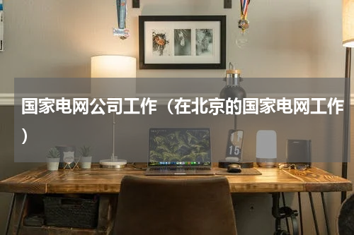 国家电网公司工作（在北京的国家电网工作）