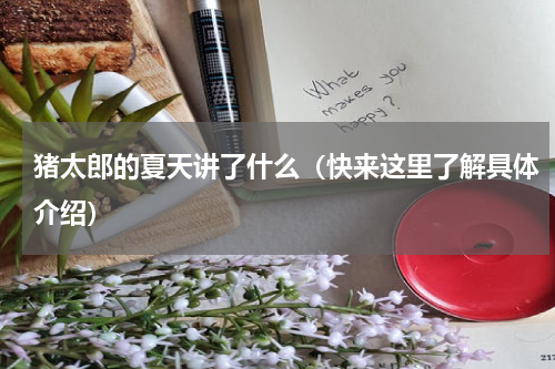 猪太郎的夏天讲了什么（快来这里了解具体介绍）