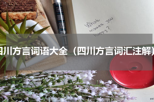 四川方言词语大全（四川方言词汇注解）