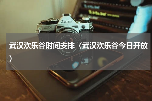 武汉欢乐谷时间安排（武汉欢乐谷今日开放）