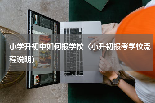 小学升初中如何报学校（小升初报考学校流程说明）