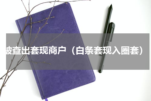 被查出套现商户（白条套现入圈套）