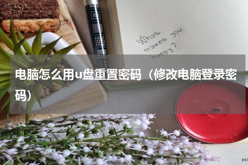 电脑怎么用u盘重置密码（修改电脑登录密码）