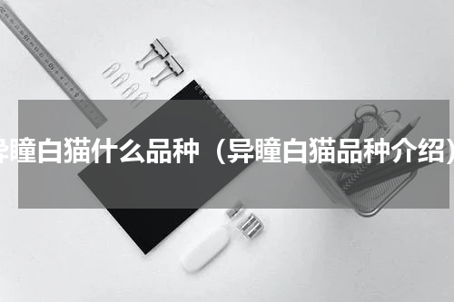 异瞳白猫什么品种（异瞳白猫品种介绍）