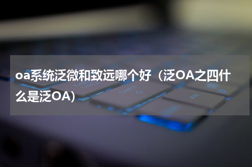 oa系统泛微和致远哪个好（泛OA之四什么是泛OA）