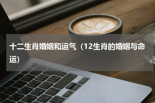十二生肖婚姻和运气（12生肖的婚姻与命运）