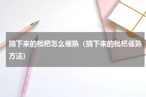 摘下来的枇杷怎么催熟（摘下来的枇杷催熟方法）
