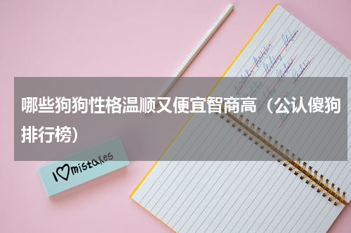 哪些狗狗性格温顺又便宜智商高（公认傻狗排行榜）