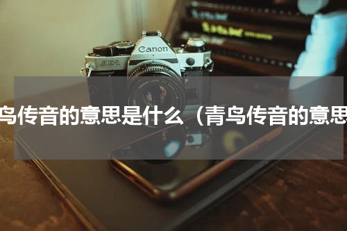 青鸟传音的意思是什么（青鸟传音的意思）