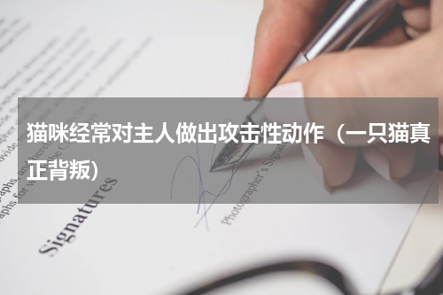 猫咪经常对主人做出攻击性动作（一只猫真正背叛）