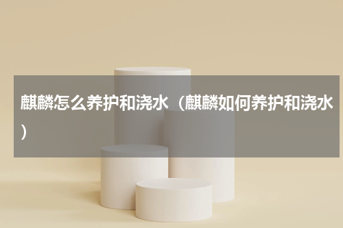 麒麟怎么养护和浇水（麒麟如何养护和浇水）