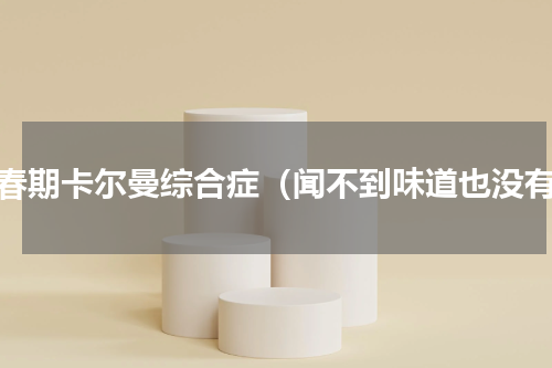 青春期卡尔曼综合症（闻不到味道也没有）