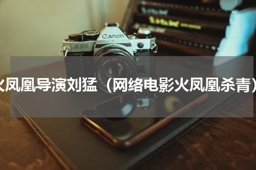 火凤凰导演刘猛（网络电影火凤凰杀青）