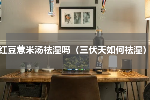 红豆薏米汤祛湿吗（三伏天如何祛湿）