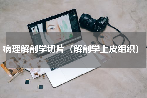 病理解剖学切片（解剖学上皮组织）