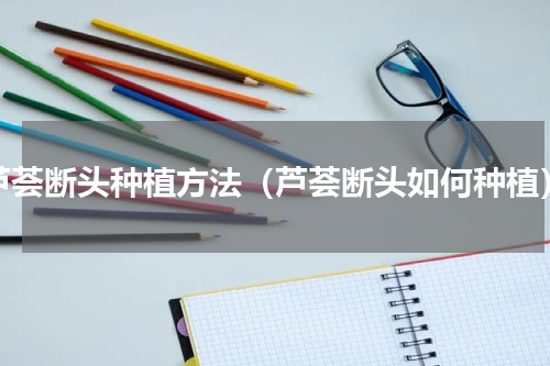 芦荟断头种植方法（芦荟断头如何种植）