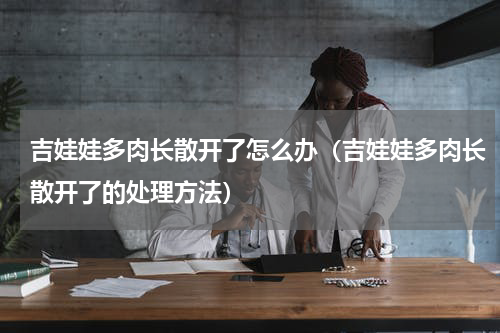 吉娃娃多肉长散开了怎么办（吉娃娃多肉长散开了的处理方法）
