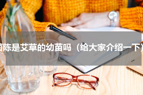 茵陈是艾草的幼苗吗（给大家介绍一下）