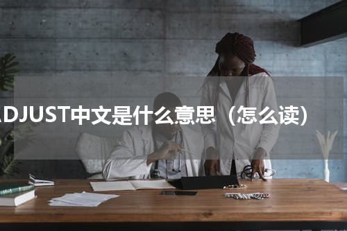 ADJUST中文是什么意思（怎么读）