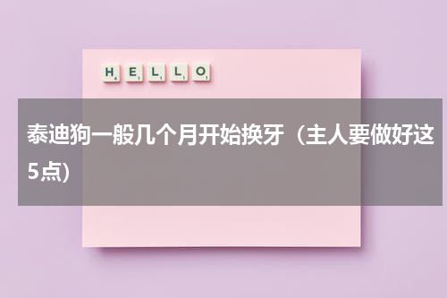 泰迪狗一般几个月开始换牙（主人要做好这5点）