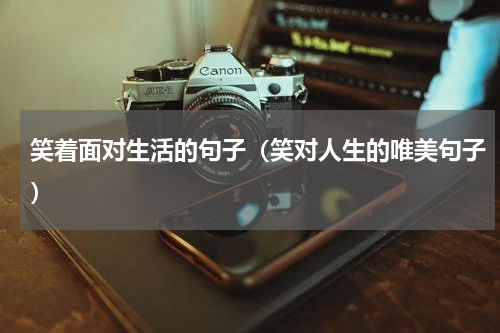 笑着面对生活的句子（笑对人生的唯美句子）