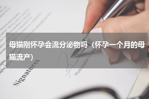 母猫刚怀孕会流分泌物吗（怀孕一个月的母猫流产）