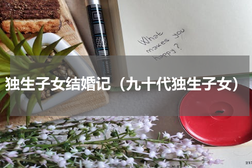 独生子女结婚记（九十代独生子女）
