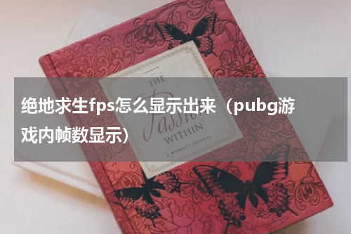 绝地求生fps怎么显示出来（pubg游戏内帧数显示）