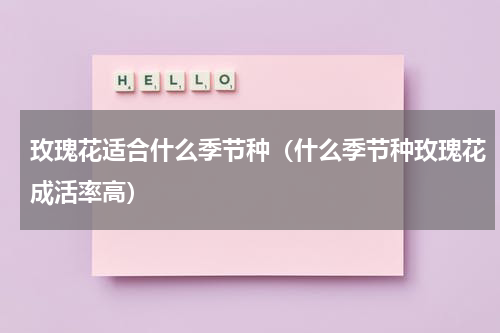 玫瑰花适合什么季节种（什么季节种玫瑰花成活率高）