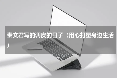 秦文君写的调皮的日子（用心打量身边生活）