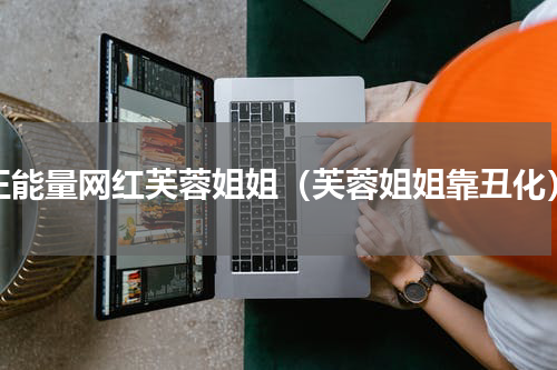 正能量网红芙蓉姐姐（芙蓉姐姐靠丑化）