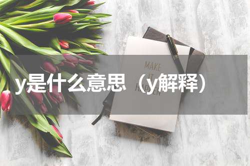 y是什么意思（y解释）