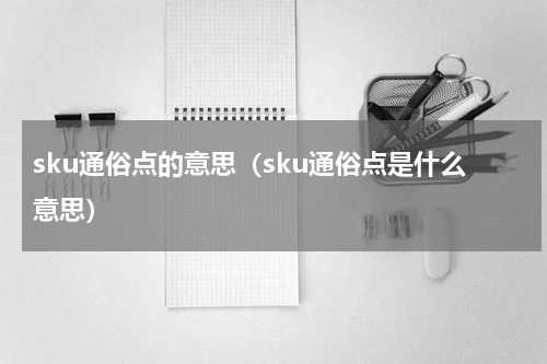 sku通俗点的意思（sku通俗点是什么意思）