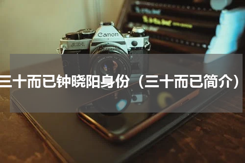 三十而已钟晓阳身份（三十而已简介）