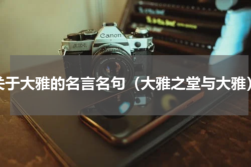 关于大雅的名言名句（大雅之堂与大雅）