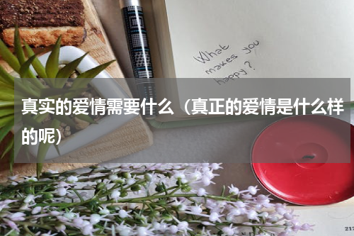 真实的爱情需要什么（真正的爱情是什么样的呢）