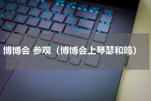 博博会 参观（博博会上琴瑟和鸣）