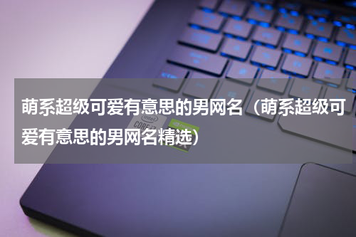 萌系超级可爱有意思的男网名（萌系超级可爱有意思的男网名精选）