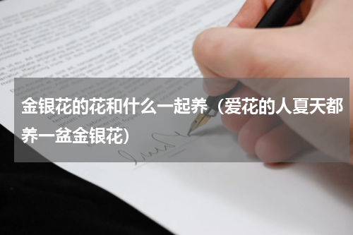 金银花的花和什么一起养（爱花的人夏天都养一盆金银花）