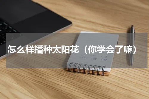 怎么样播种太阳花（你学会了嘛）