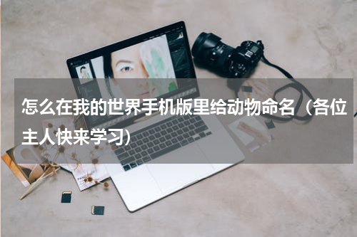 怎么在我的世界手机版里给动物命名（各位主人快来学习）