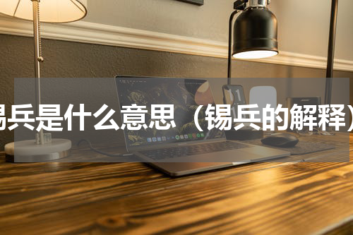 锡兵是什么意思（锡兵的解释）