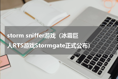 storm sniffer游戏（冰霜巨人RTS游戏Stormgate正式公布）